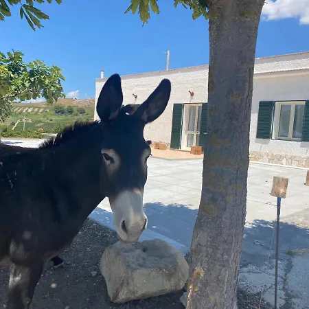 Il Rifugio Della Grotta S.ninfa Homestay *